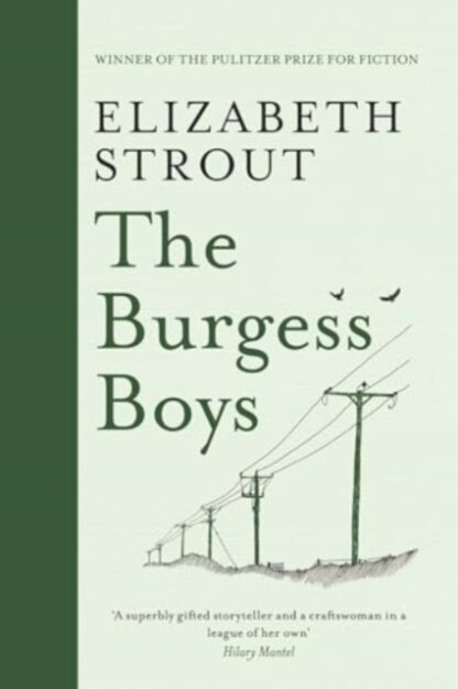 The Burgess Boys - Elizabeth Strout