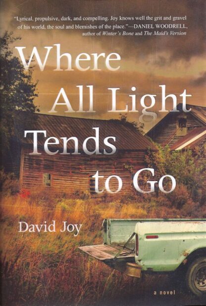 Where All The Light Tends to Go-David Joy