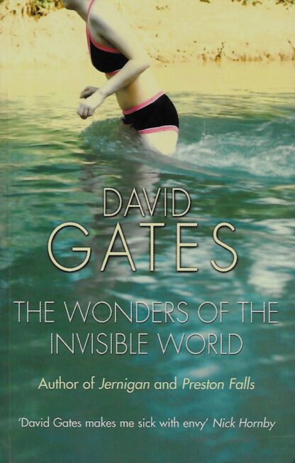 The Wonders of the Invisible World-David Gates