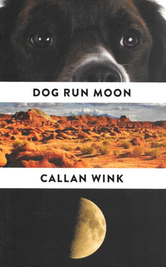 Dog Run Moon-Callan Wink