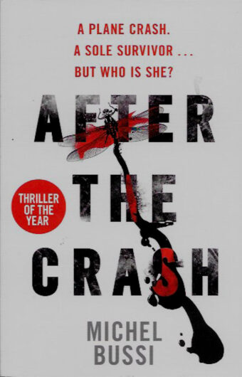 After the Crash-Michel Bussi