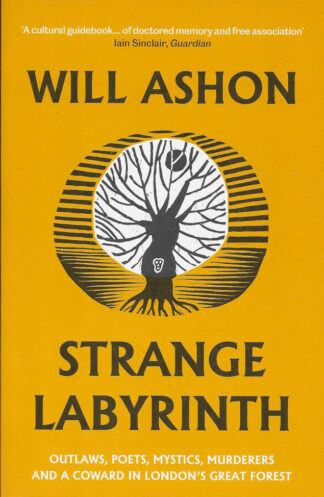 Strange Labyrinth-Will Ashon