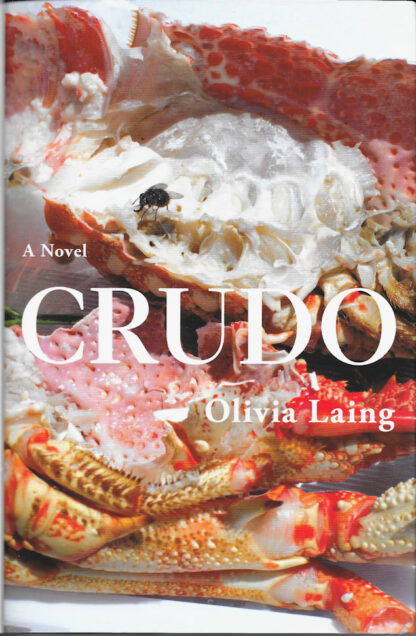 Crudo-Olivia Laing