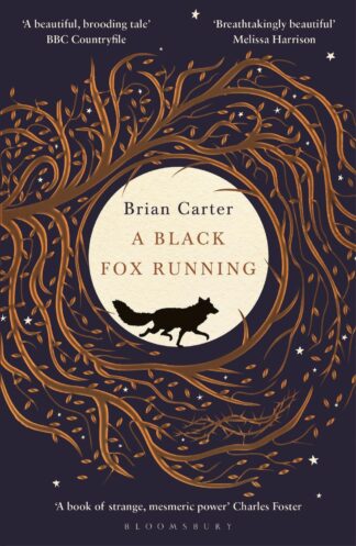 A Black Fox Running-Brian Carter