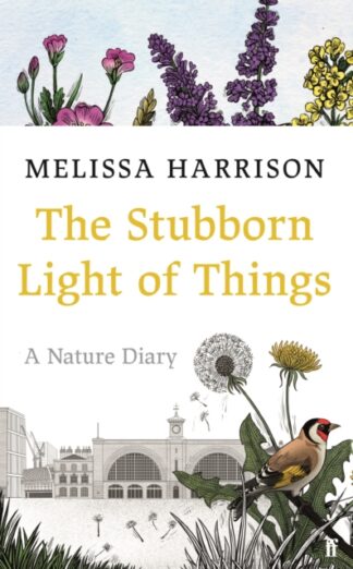 The Stubborn Light Of Things - Melissa Harrison