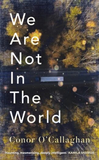 We Are Not In The World-Conor O'Callaghan