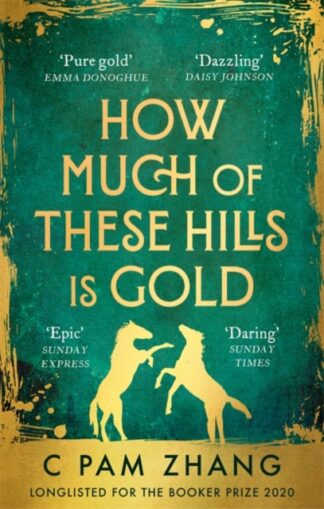 How Much Of These Hills Is Gold-C Pam Zhang