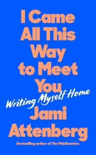 I Came All This Way To Meet You - Jami Attenberg