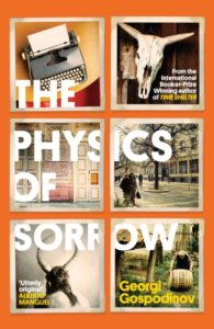 The Physics Of Sorrow - Georgi Gospodinov