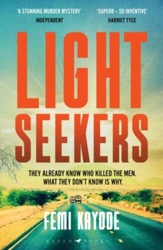 Light Seekers - Femi Kayode