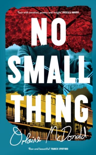 No Small Thing - Orlaine McDonald