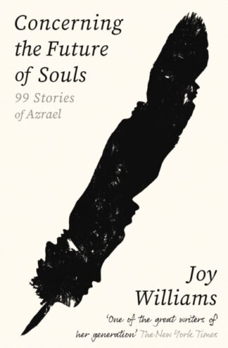 Concerning The Future Of Souls - Joy Williams