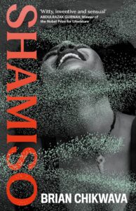 Shamiso Brian Chikwava