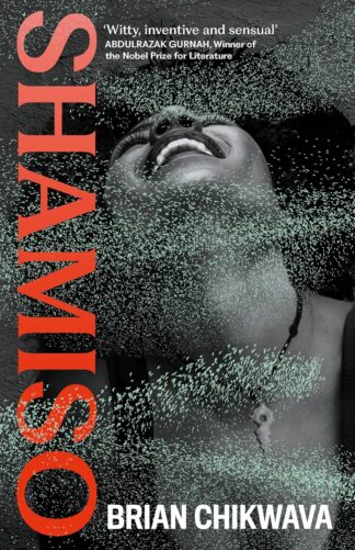 Shamiso Brian Chikwava