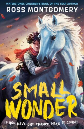 Small Wonder Ross Montgomery